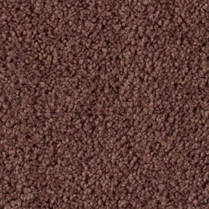Karastan Soft Elequence SmartStrand Silk Daydream 9363