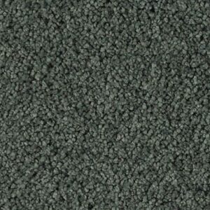 Karastan Soft Elequence SmartStrand Silk Adrift 9570