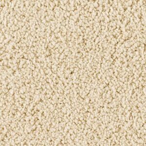 Karastan Soft Elequence SmartStrand Silk Grecian Column 9722