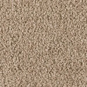Karastan Soft Elequence SmartStrand Silk Irish Linen 9779