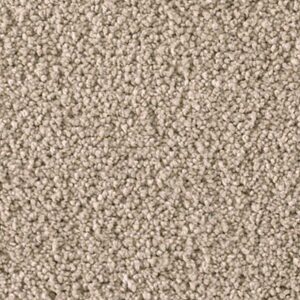 Karastan Soft Elequence SmartStrand Silk Folklore 9819