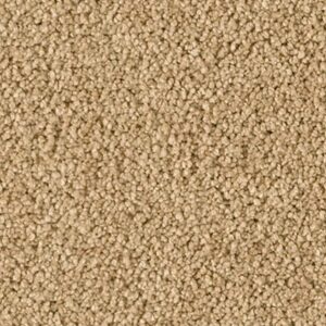 Karastan Soft Elequence SmartStrand Silk Gondola 9826