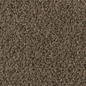 Karastan Soft Elequence SmartStrand Silk Aberdeen 9869