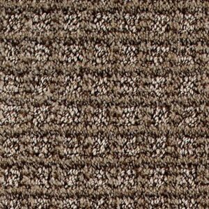 Karastan Classic Struction Kashmere Carpet Cedar 9875