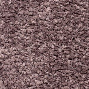 Karastan Essential Flair SmartStrand Imperial 9479