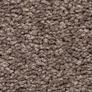 Karastan Essential Flair SmartStrand Native Soul 9860