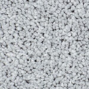 Karastan Essential Flair SmartStrand Moonstone 9943