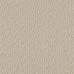 Karastan Captivating Beauty SmartStrand Dignified 9718