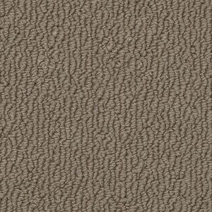 Karastan Captivating Beauty SmartStrand Chocolate Velvet 9779