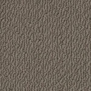 Karastan Captivating Beauty SmartStrand Coastal Fog 9839