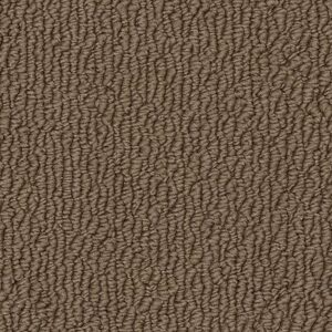 Karastan Captivating Beauty SmartStrand Wilmington Tan 9852