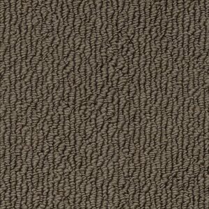 Karastan Captivating Beauty SmartStrand Brownstone 9859