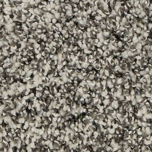 Karastan Refined Details SmartStrands Carpet Siberian 9719