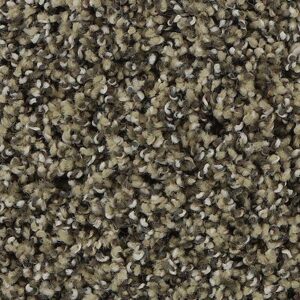 Karastan Refined Details SmartStrands Carpet Sundial 9750