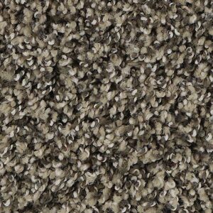 Karastan Refined Details SmartStrands Carpet Cavern 9819