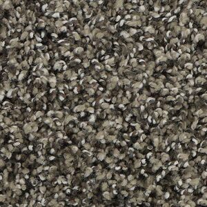 Karastan Refined Details SmartStrands Carpet Talon 9829