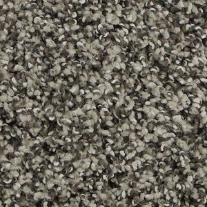 Karastan Refined Details SmartStrands Carpet Elephant 9918
