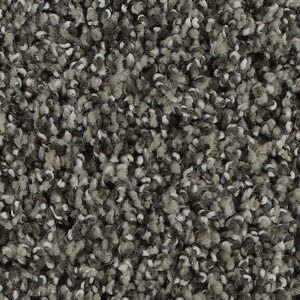 Karastan Refined Details SmartStrands Carpet Seagull 9931