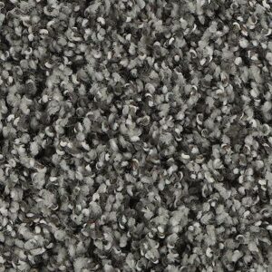 Karastan Refined Details SmartStrands Carpet Rain Dance 9945