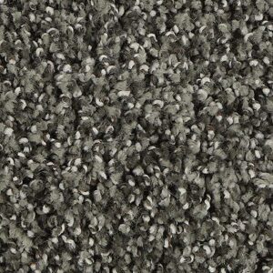 Karastan Refined Details SmartStrands Carpet Night Owl 9965