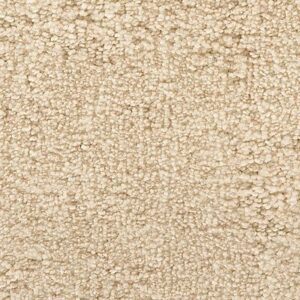 Karastan Intriguing Allure Kashmere Carpet Ivory Cream 9701