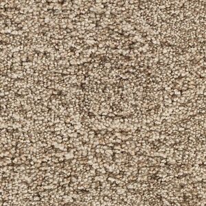 Karastan Intriguing Allure Kashmere Carpet Magnolia 9730