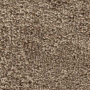 Karastan Intriguing Allure Kashmere Carpet Blonde Willow 9748