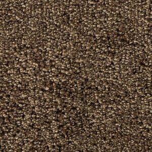 Karastan Intriguing Allure Kashmere Carpet Brushwood 9863