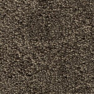 Karastan Intriguing Allure Kashmere Carpet Cathedral 9962