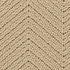 Karastan Chic Sophistication Smartstrand Carpet Celebration 9737
