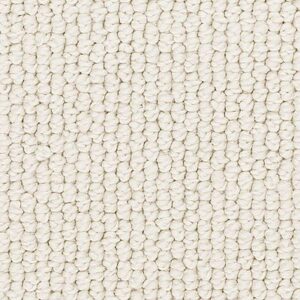 Karastan Nouveau Classic SmartStrand Fine White 9700