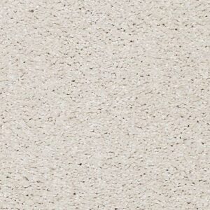 Karastan Luxurious Vision SmartStrand Carpet Full Moon 9718