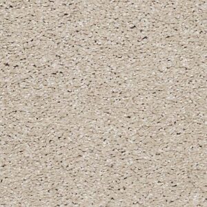 Karastan Luxurious Vision SmartStrand Carpet South Beach 9738
