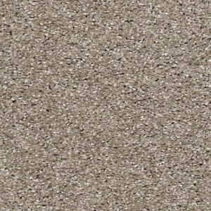 Karastan Luxurious Vision SmartStrand Carpet Garden Wall 9775