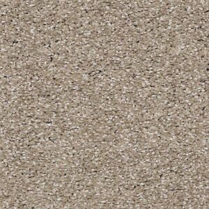 Karastan Luxurious Vision SmartStrand Carpet Windsong 9776
