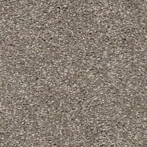 Karastan Luxurious Vision SmartStrand Carpet Copenhagen 9830