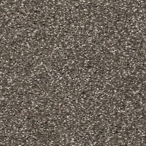 Karastan Luxurious Vision SmartStrand Carpet Expedition 9863