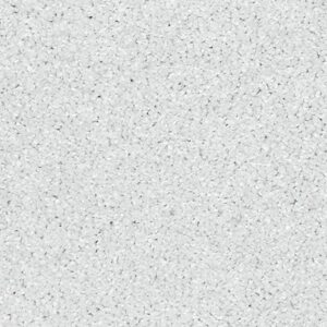 Karastan Luxurious Vision SmartStrand Carpet Ice Crystal 9906