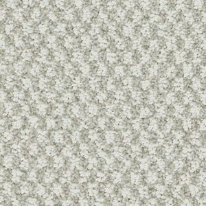 Karastan Cambridge Square Cambridge Square Turtle Dove 9915