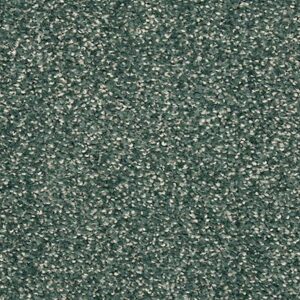 Karastan Coastal Splendor Kashmere Carpet Moss Grove 9665