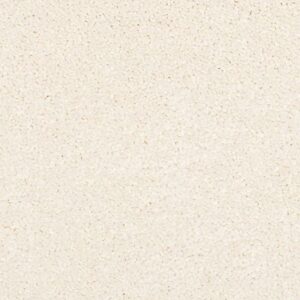 Karastan Coastal Splendor Kashmere Carpet Willow Pier 9701