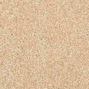 Karastan Coastal Splendor Kashmere Carpet Libby Cove 9710
