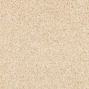 Karastan Coastal Splendor Kashmere Carpet Crescent 9711