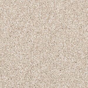 Karastan Coastal Splendor Kashmere Carpet Briarwood 9729