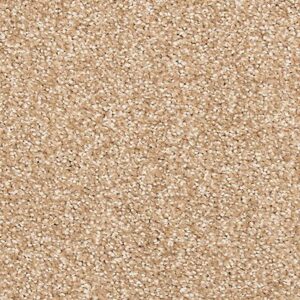 Karastan Coastal Splendor Kashmere Carpet Fairhaven 9831