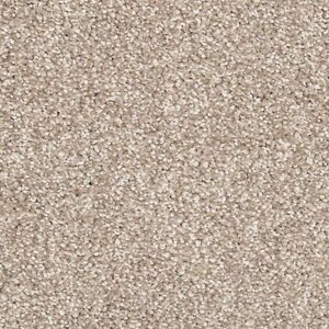 Karastan Coastal Splendor Kashmere Carpet Humarock 9928