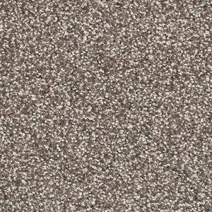 Karastan Coastal Splendor Kashmere Carpet Windsurfer 9931