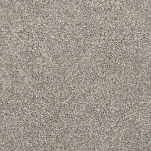 Karastan Coastal Splendor Kashmere Carpet Sandprint 9944