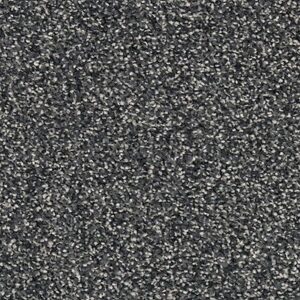 Karastan Coastal Splendor Kashmere Carpet Black Point 9985