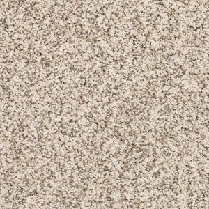 Karastan Cordial Welcome Kashmere Carpet Dutch White 9814